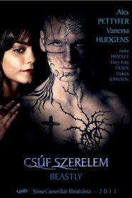 Csúf szerelem