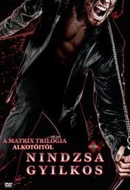 Nindzsagyilkos
