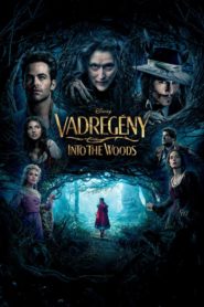 Vadregény