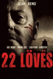 22 lövés
