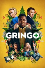 Gringo