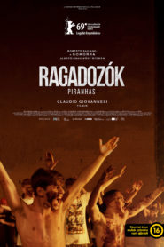 Ragadozók 2019