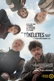 Egy tökéletes nap