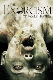 Ördögűzés Molly Hartley üdvéért