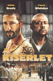 A kísérlet