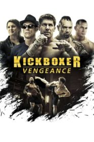 Kickboxer vengeance