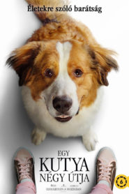 Egy kutya négy útja