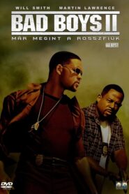 Bad Boys 2. – Már megint a rosszfiúk