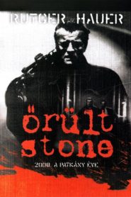 Őrült Stone, avagy 2008 a patkány éve