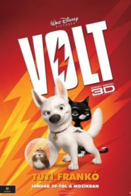 Volt