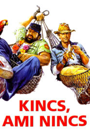 Kincs, ami nincs