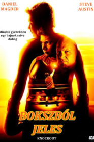 Bokszból jeles