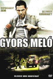 Gyors meló