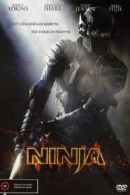 Nindzsa